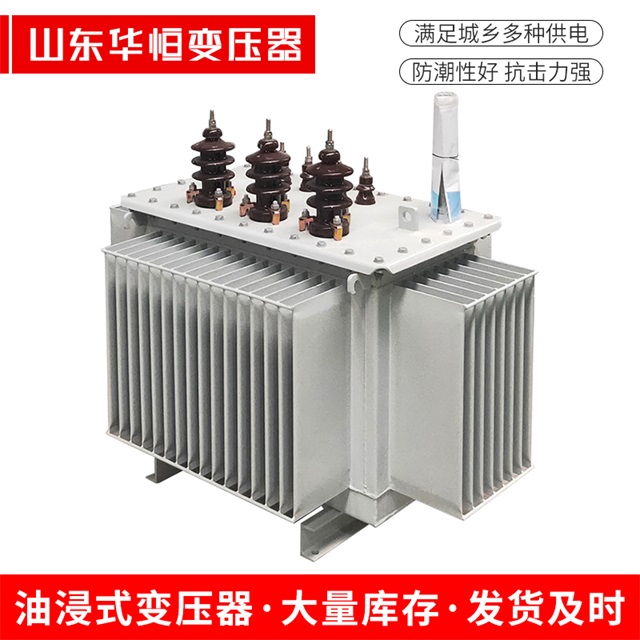 S13-10000/35衡东衡东衡东油浸式变压器厂家